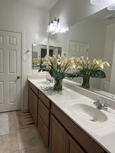 3851 E Balsam Dr in Chandler, AZ - Foto de edificio - Building Photo
