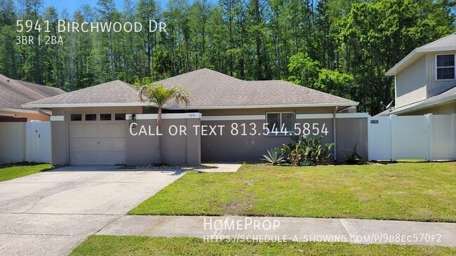 5941 Birchwood Dr in Tampa, FL - Building Photo - Building Photo