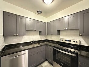 3825 N Pine Grove Ave in Chicago, IL - Building Photo - Building Photo