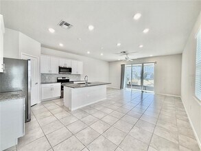 19672 Shady Oak Dr in Land O Lakes, FL - Building Photo - Building Photo