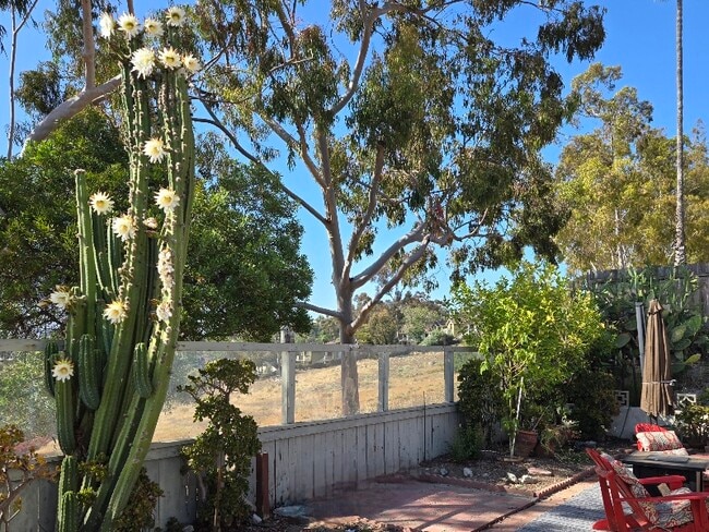 2918 Shady Pine St in Spring Valley, CA - Building Photo - Building Photo