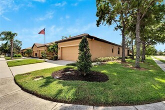 242 Shell Falls Dr in Apollo Beach, FL - Building Photo - Building Photo