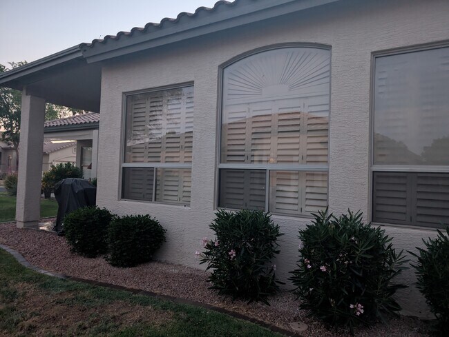 23833 S Pleasant Way in Sun Lakes, AZ - Building Photo - Building Photo
