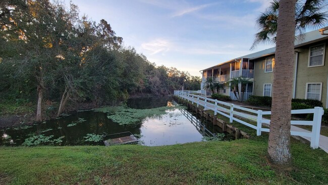 803 Lake Haven Square in Brandon, FL - Building Photo - Building Photo