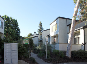 The Woodlands in La Jolla, CA - Foto de edificio - Building Photo