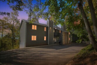 116 Lookout Dr in Asheville, NC - Building Photo - Building Photo