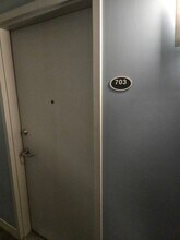 811 W 15th Pl in Chicago, IL - Building Photo - Building Photo