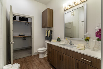 Augusta Flats in San Antonio, TX - Building Photo - Interior Photo