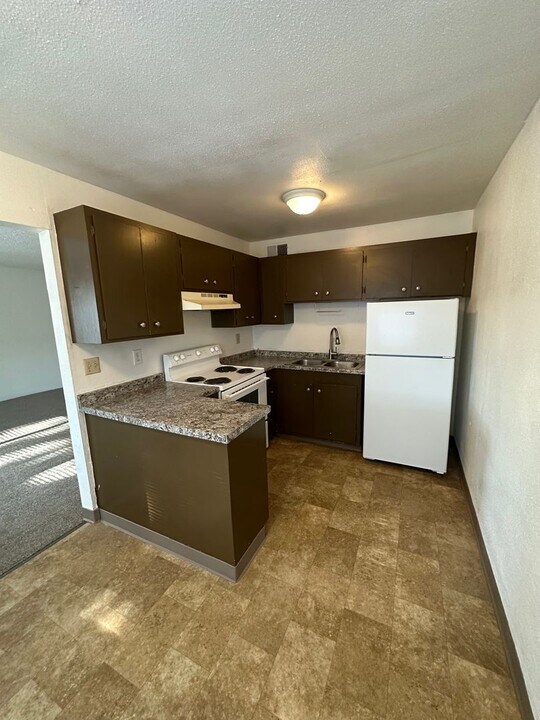 725 W 1st Ave-Unit -725 W 1st Ave-B in Chico, CA - Foto de edificio