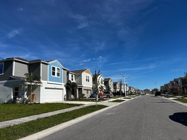 34200 Scarlet Sage Ct in Wesley Chapel, FL - Building Photo - Building Photo