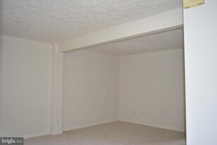 3855 Sunny Brook Ct in Woodbridge, VA - Building Photo