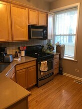 1703 W Nelson St, Unit 1 in Chicago, IL - Building Photo - Building Photo