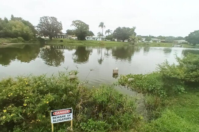 305 Hammock Terrace in Venice, FL - Building Photo - Building Photo