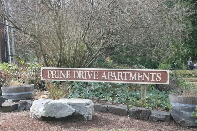 Prine Drive Apartments in Tumwater, WA - Building Photo - Other