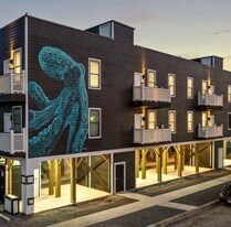 803 Avenue K in Galveston, TX - Building Photo