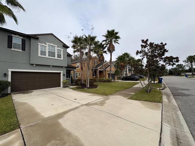 1695 Ludington Ave in Wesley Chapel, FL - Building Photo - Building Photo