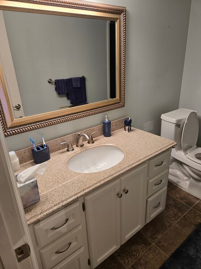 870 Brookfield Pky, Unit Large Furnished Bsmt Apt in Roswell, GA - Building Photo - Building Photo