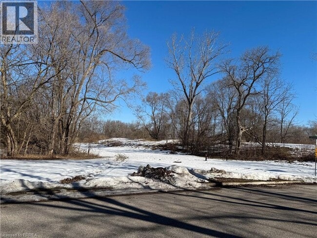 36 Graham Ave in Brantford, ON - Building Photo - Building Photo