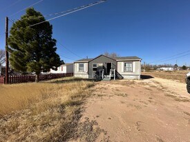 5605 Walter Rd in Big Spring, TX - Building Photo