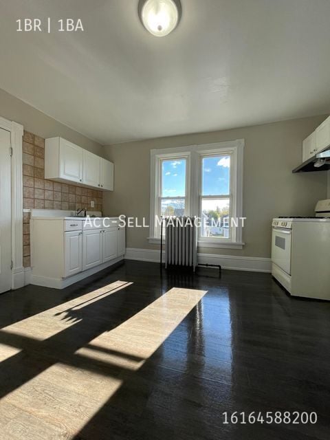 1003 Bridge St NW in Grand Rapids, MI - Building Photo - Building Photo