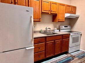 62 Tonopan St in Mastic, NY - Building Photo - Building Photo