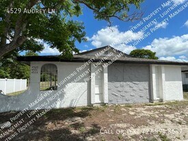 4529 Audrey Ln in New Port Richey, FL - Building Photo