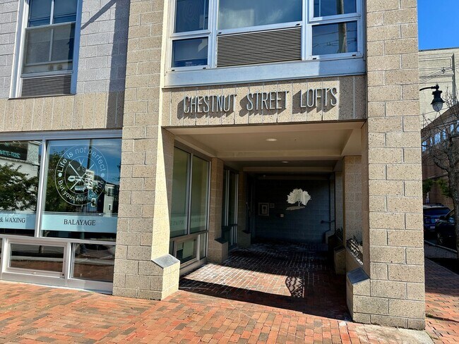 21 Chestnut St in Portland, ME - Building Photo - Building Photo