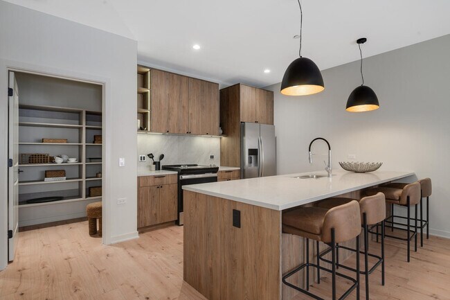 The Ash in Chicago, IL - Building Photo - Building Photo