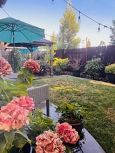 2198 Shady Creek Rd in Folsom, CA - Building Photo - Building Photo