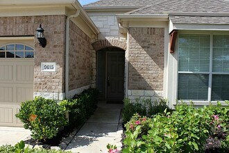 9615 E Amber Bluff Ln in Katy, TX - Building Photo - Building Photo