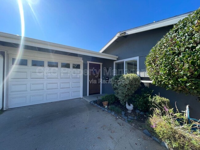 4774 Mt Cresti Dr in San Diego, CA - Building Photo - Building Photo