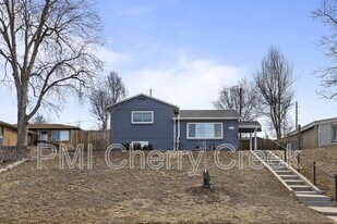 1010 Newton St in Denver, CO - Building Photo
