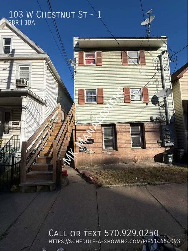 103 W Chestnut St in Wilkes-Barre, PA - Building Photo - Building Photo