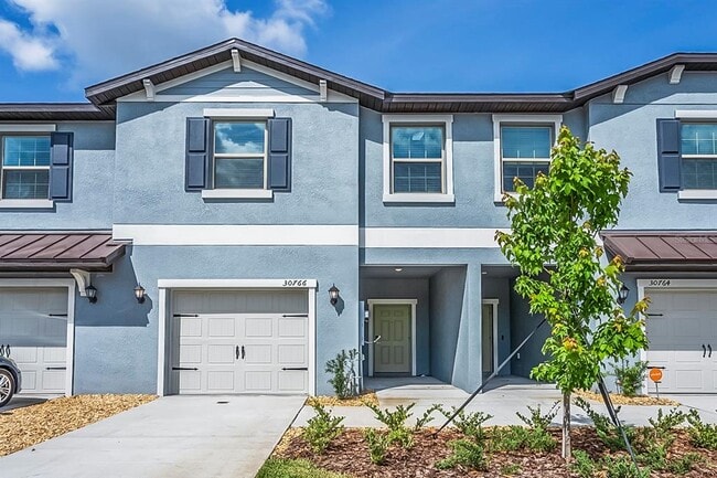 30766 Veridian Wy in Wesley Chapel, FL - Building Photo - Building Photo