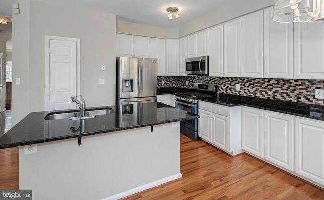 21276 Victorias Cross Terrace in Ashburn, VA - Building Photo - Building Photo
