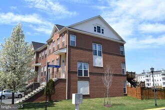 41910 Beryl Terrace in Stone Ridge, VA - Building Photo - Building Photo