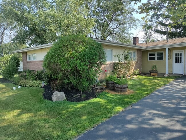 property at 91 Steele Cir