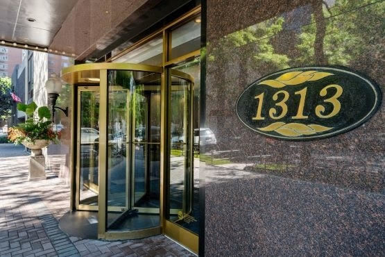 1313 N Ritchie Ct in Chicago, IL - Building Photo - Building Photo