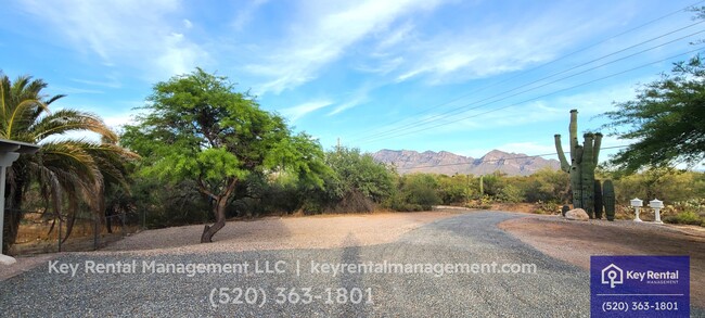 1680 W Sunkist Rd in Tucson, AZ - Building Photo - Building Photo