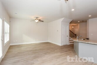 273 Ireland Ln in Dallas, GA - Foto de edificio - Building Photo