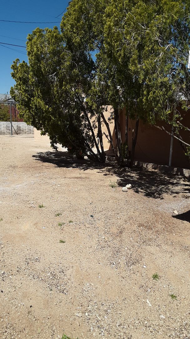property at 6568 Oasis Ave