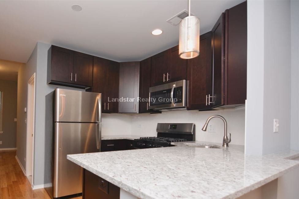 1645 W 17th St-Unit -2CH in Chicago, IL - Building Photo