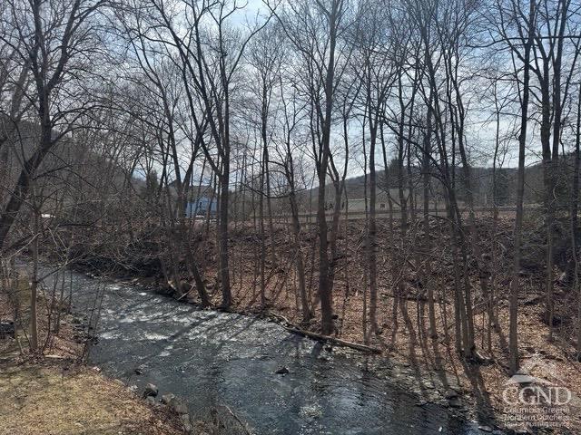 18 Furnace Bank Rd in Wassaic, NY - Building Photo
