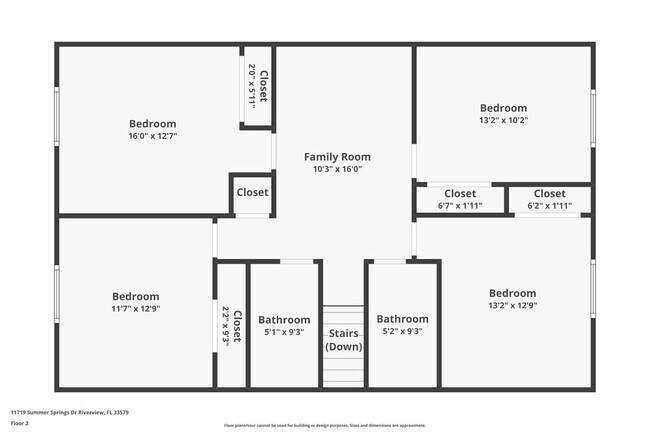 11719 Summer Springs Dr in Riverview, FL - Building Photo - Building Photo