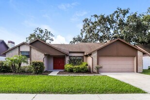 4139 Spring Way Cir in Valrico, FL - Building Photo