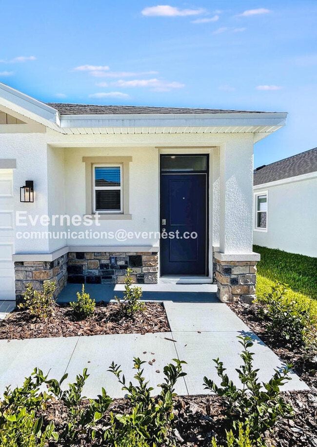 10650 Dusty Boot Rd in Land O Lakes, FL - Foto de edificio - Building Photo