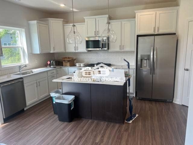 4268 129th Ave NE in Blaine, MN - Building Photo - Building Photo