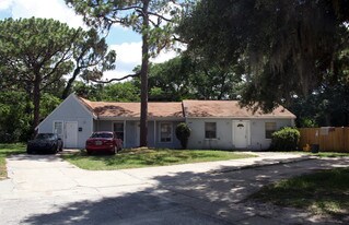 1403 College Park Ct in Tampa, FL - Building Photo