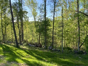 309 Country Ln in Lenoir City, TN - Building Photo - Building Photo