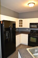 169 Springbrook Trail S in Oswego, IL - Building Photo - Building Photo